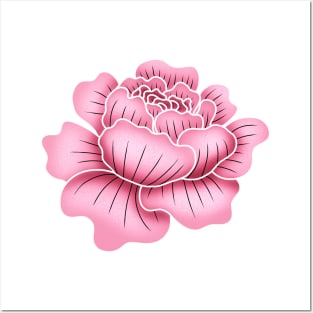 Pink Peony Flower Posters and Art